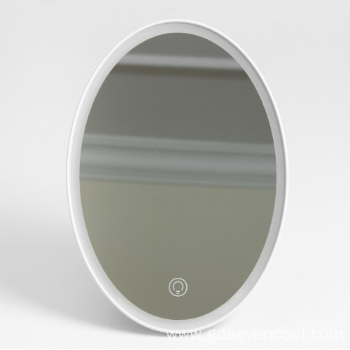 Ovel Shape led tubes light make up mirror